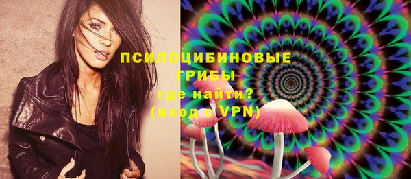 меф Няндома