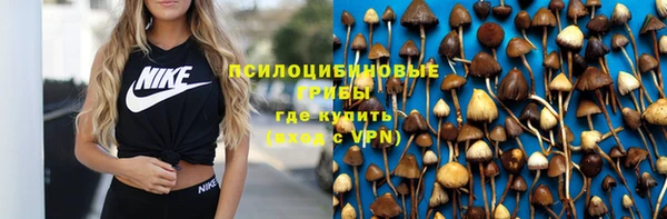 меф Няндома