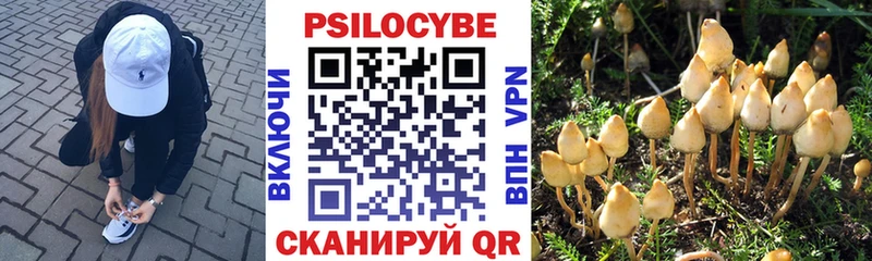 Галлюциногенные грибы мухоморы  Тарко-Сале 